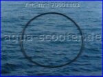043 - O-Ring groß