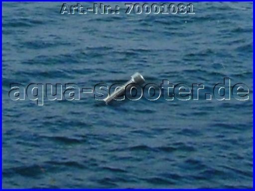 123 - Innensechskantschraube M5 x 20mm (inox)