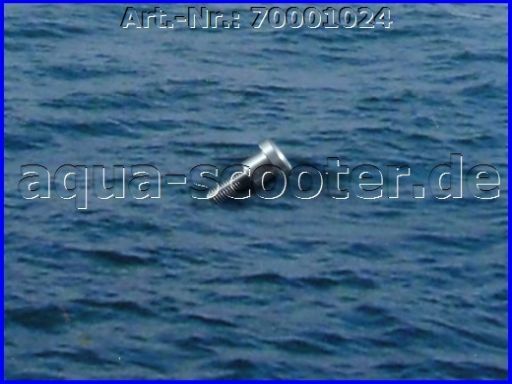 151 - Schraube Spezial abgesetzt (inox)