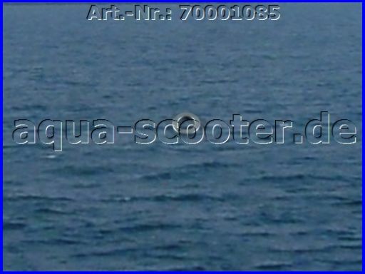 69 - Sicherungsscheibe M4