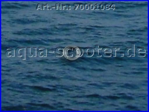 74 - Sicherungsscheibe M8